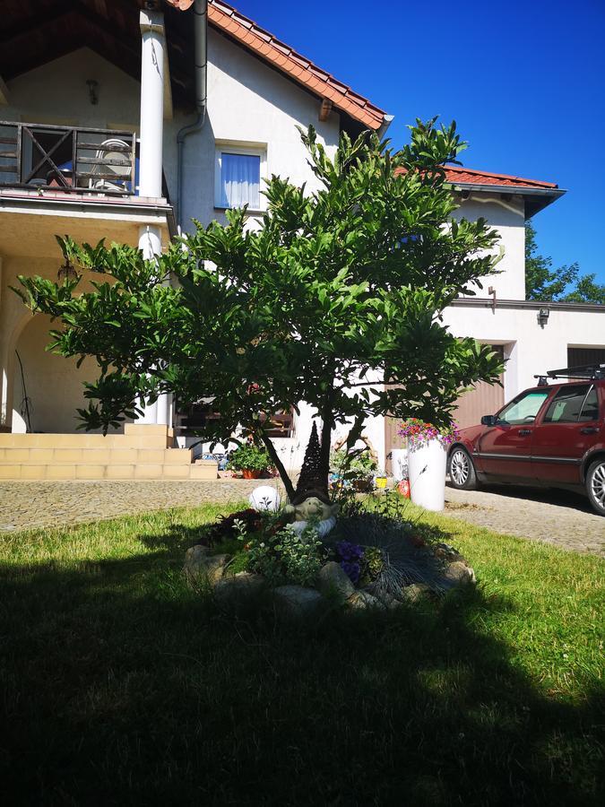 Casa Del Fasa Lägenhet Polanica-Zdrój Exteriör bild
